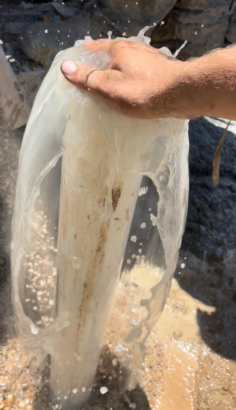 Fresh well water flowing over new casing at a Triangle J drilling site in North Texas